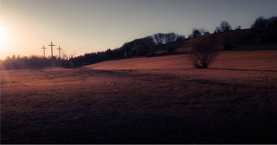 Series of Weekly Lenten Reflections: 1 of 8