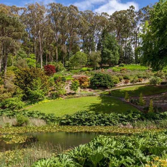 Mt Lofty Botanic Gardens